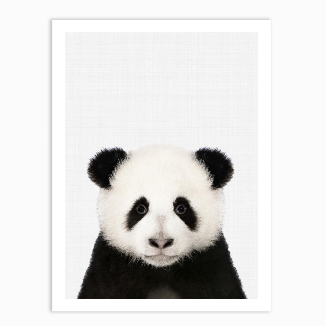 Slim Panda: Over 58 Royalty-Free Licensable Stock Illustrations