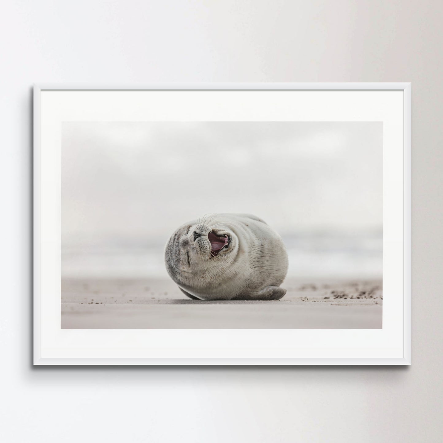 Little smiling seal on the beach