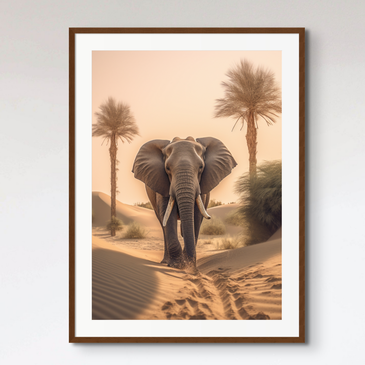 Elephant Desert