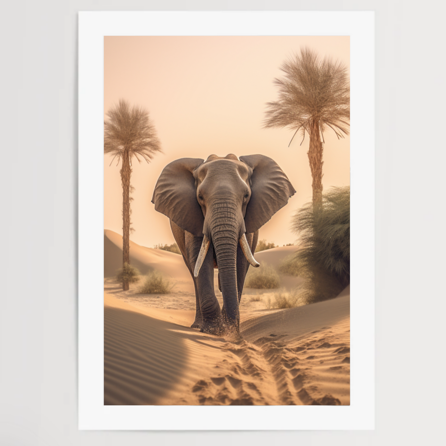 Elephant Desert