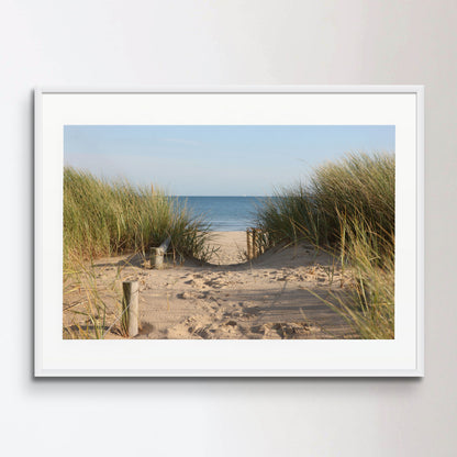 Sandy pathway accessing a beach