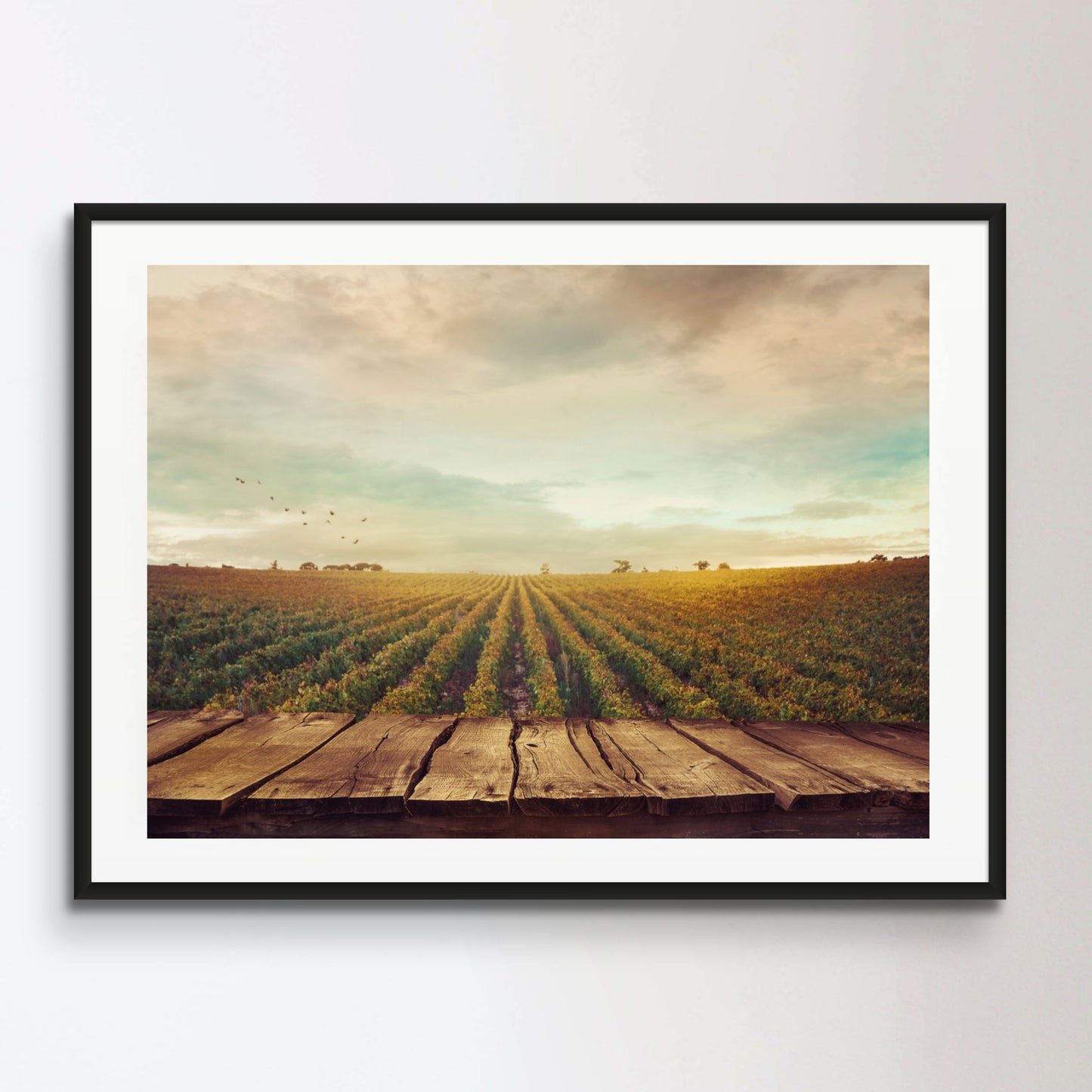 Vineyard in autumn