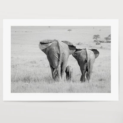 Three Butts! Elephant Poster