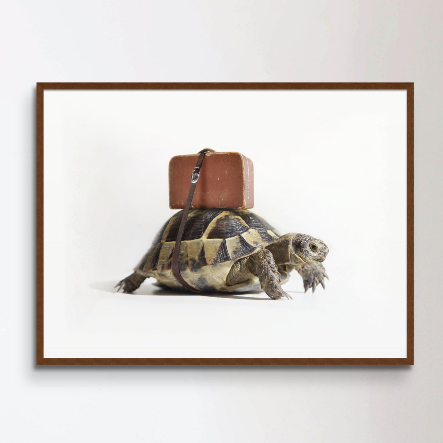 Turtle with suitcase.