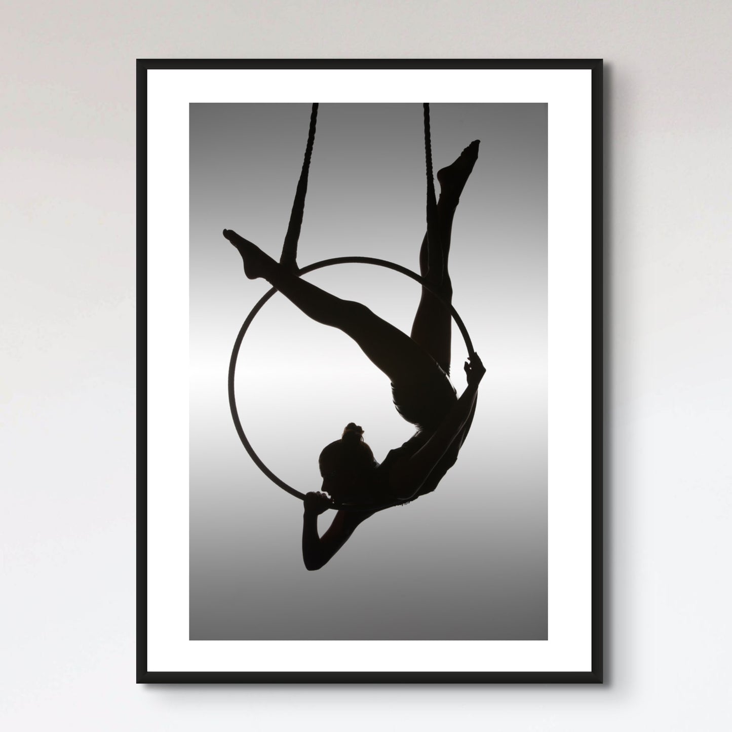 The Aerialist