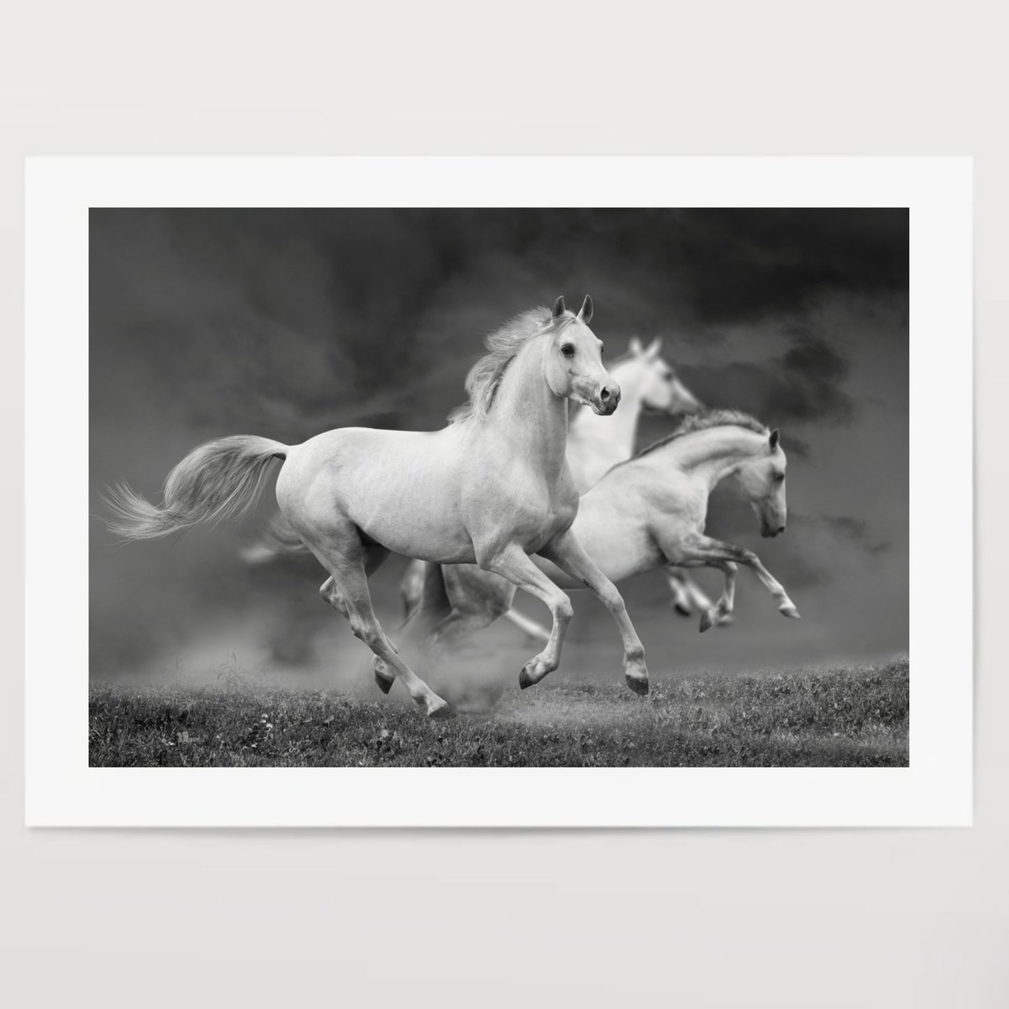 white horses