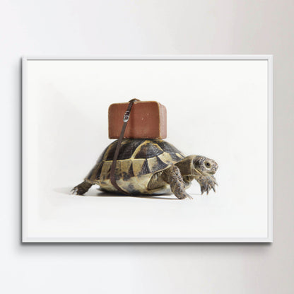 Turtle with suitcase.