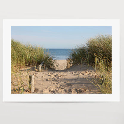 Sandy pathway accessing a beach