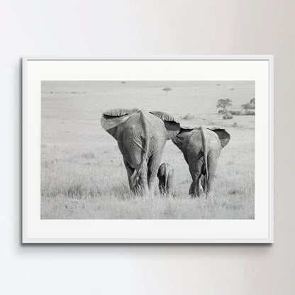 Three Butts! Elephant Poster