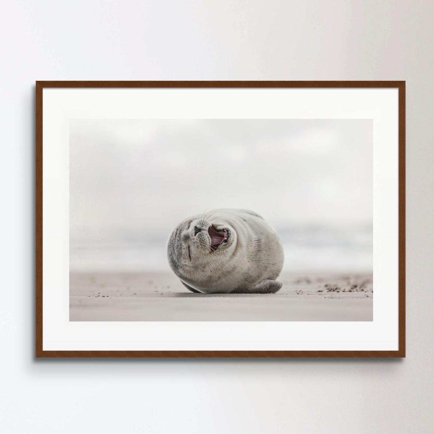 Little smiling seal on the beach