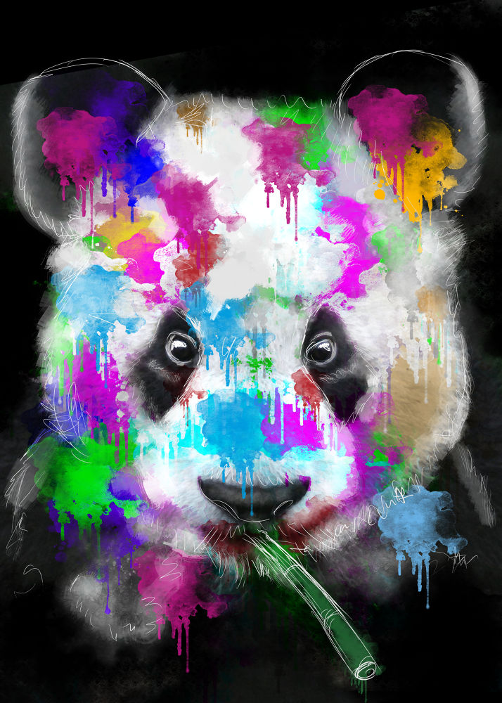 Panda