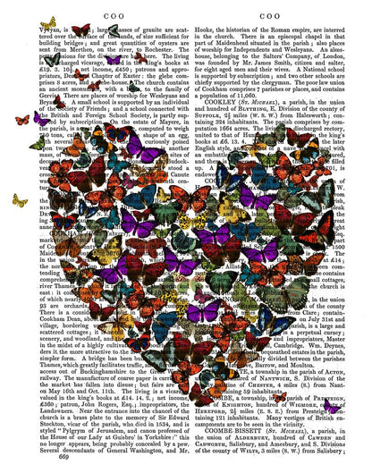 Butterfly Heart