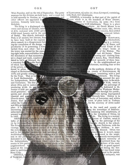 Schnauzer Formal Hound and Hat