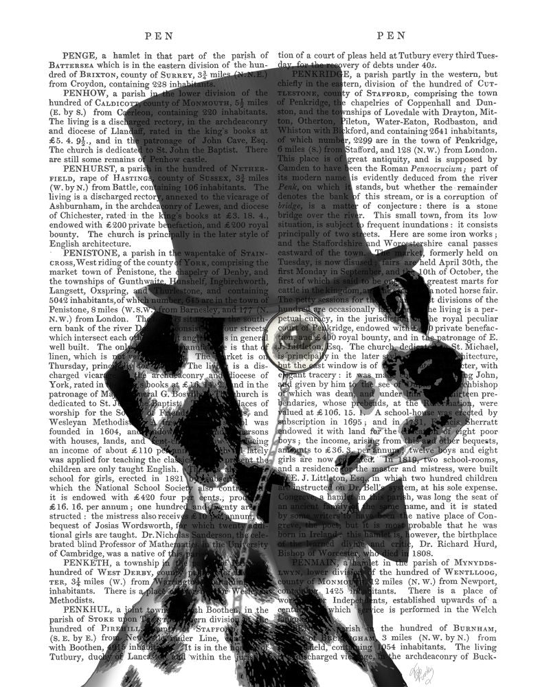 Dalmatian Formal Hound and Hat