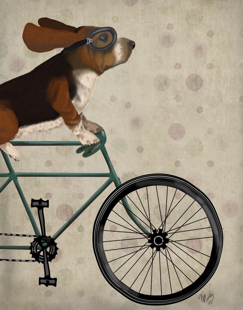 Basset Hound on Bicycle