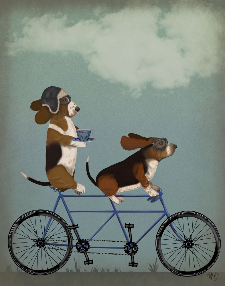 Basset Hound Tandem