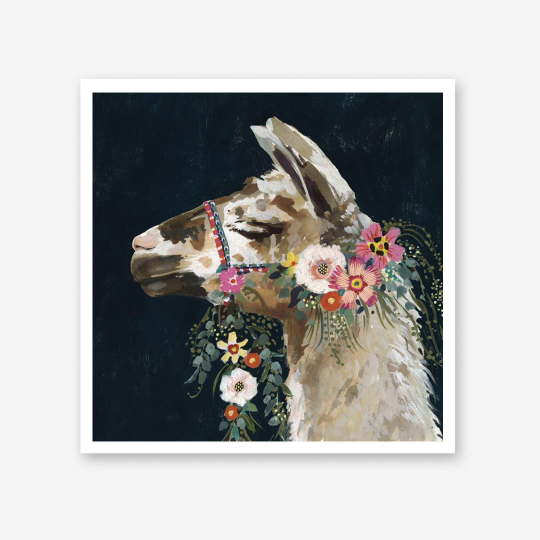 Lovely Llama II