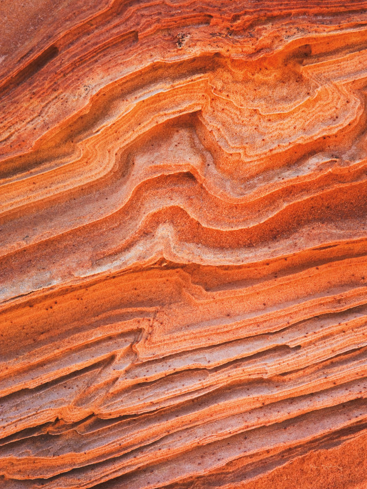 Coyote Buttes IV Crop