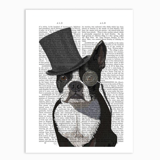 Boston Terrier Formal Hound and Hat