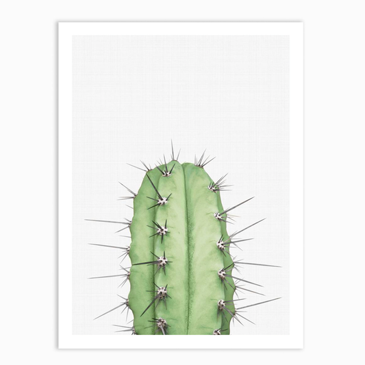 Cactus 2 Print