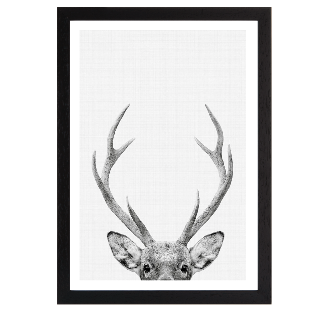 Deer Portrait Print