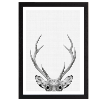 Deer Portrait Print