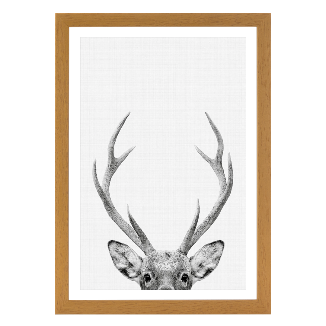 Deer Portrait Print