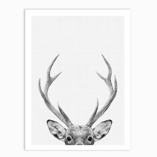 Deer Portrait Print