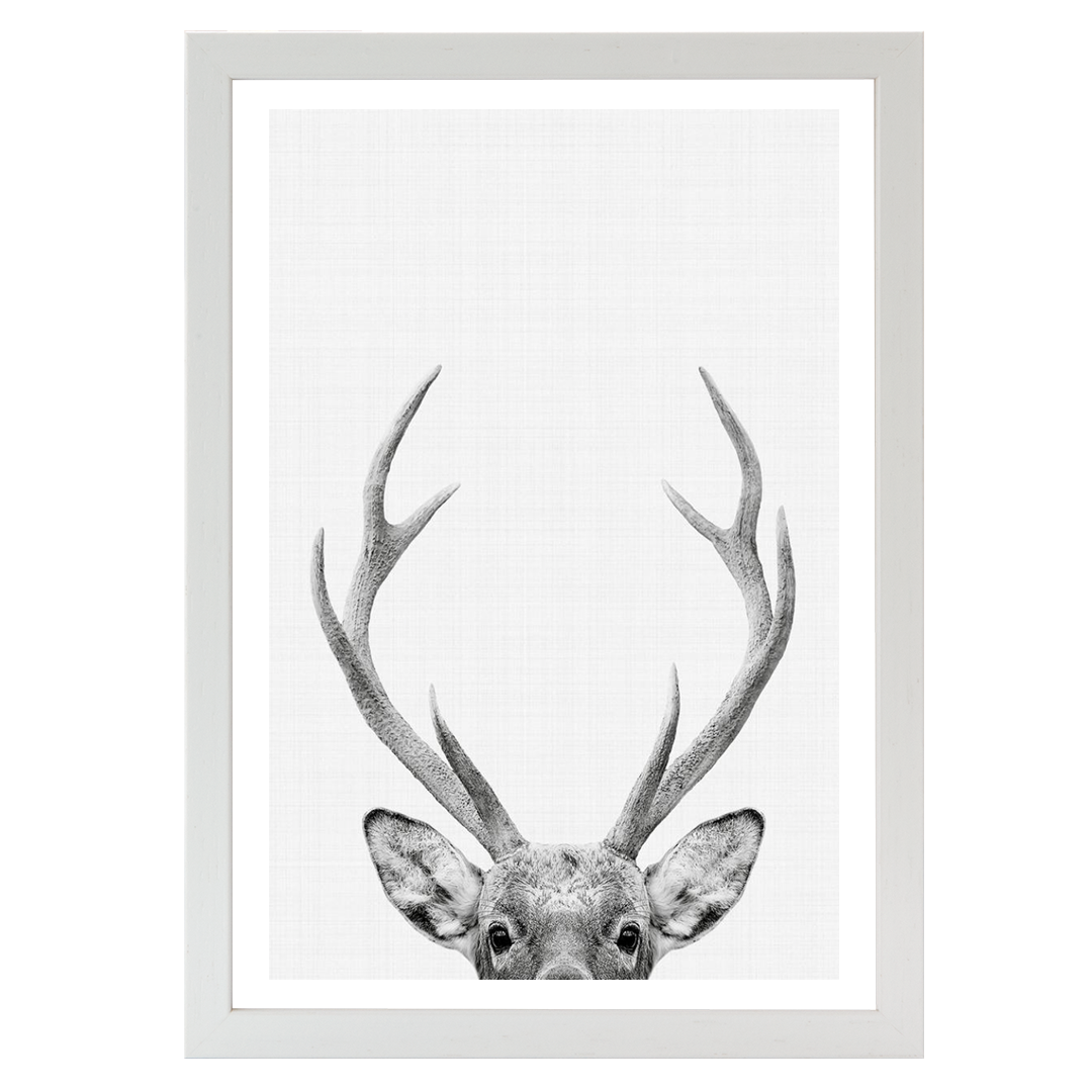 Deer Portrait Print