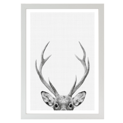 Deer Portrait Print