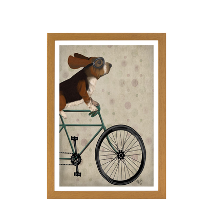 Basset Hound on Bicycle