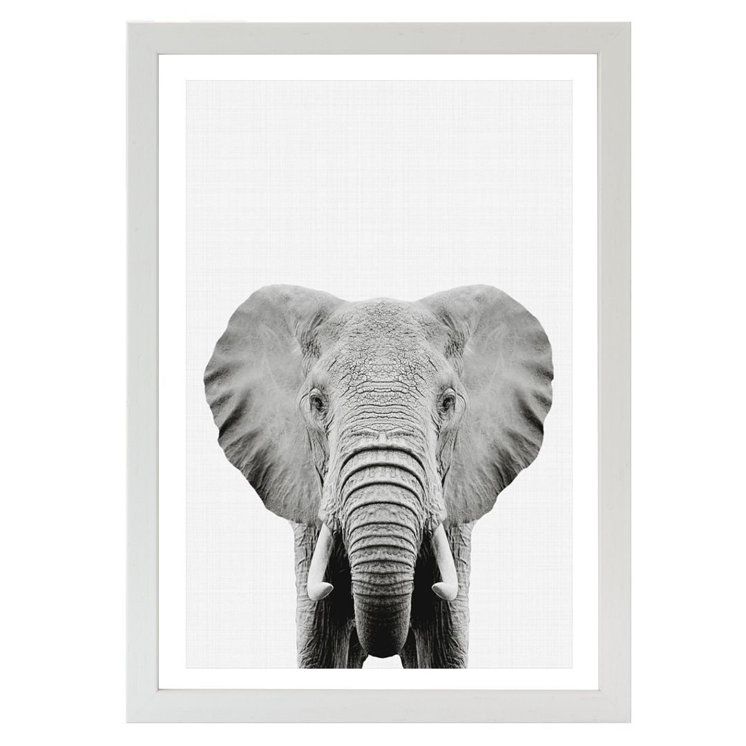 Elephant Print - A5 / A4 / A3