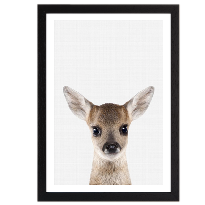 Fawn Portrait Print