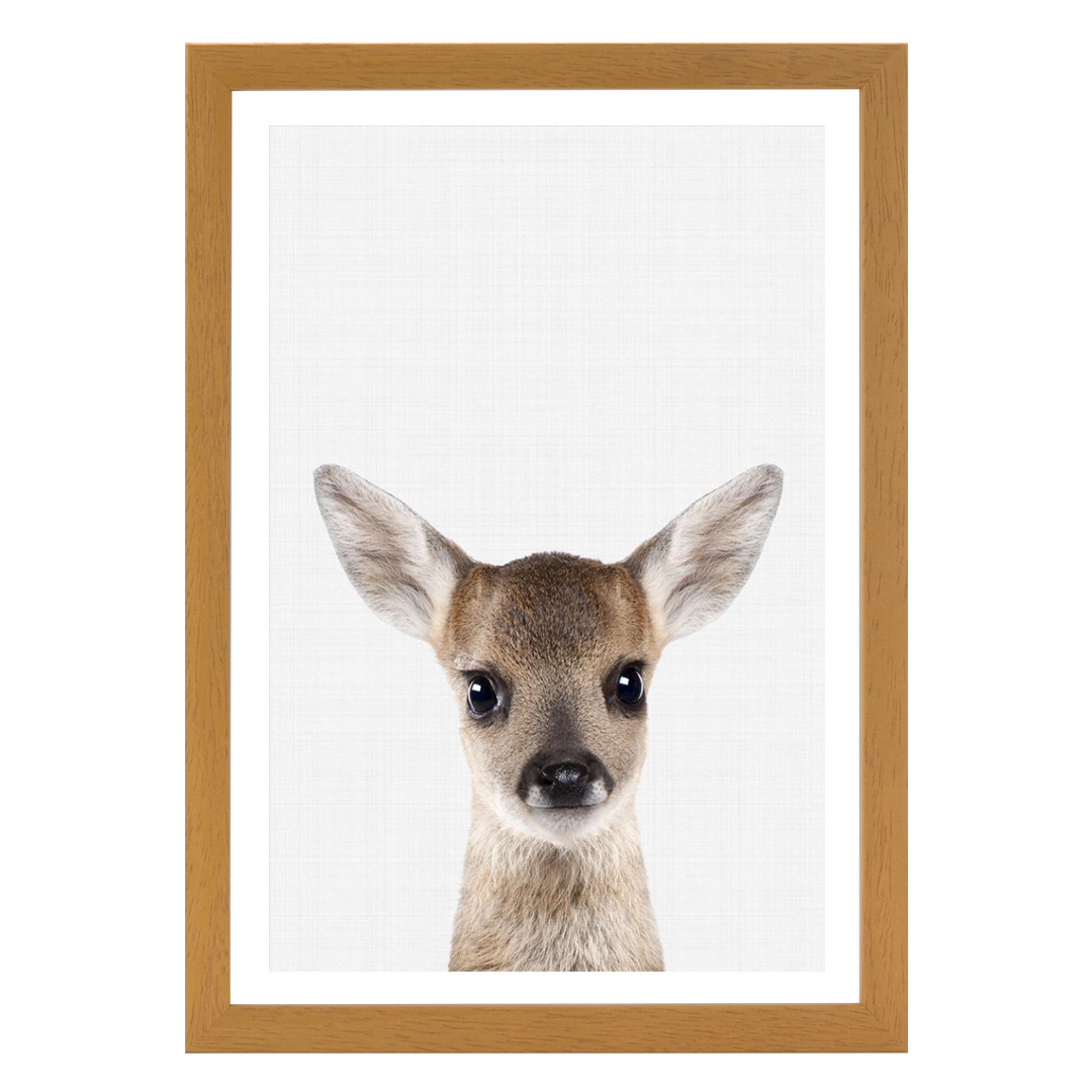 Fawn Portrait Print