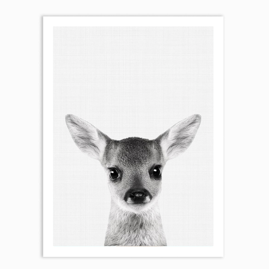 Fawn Portrait Print