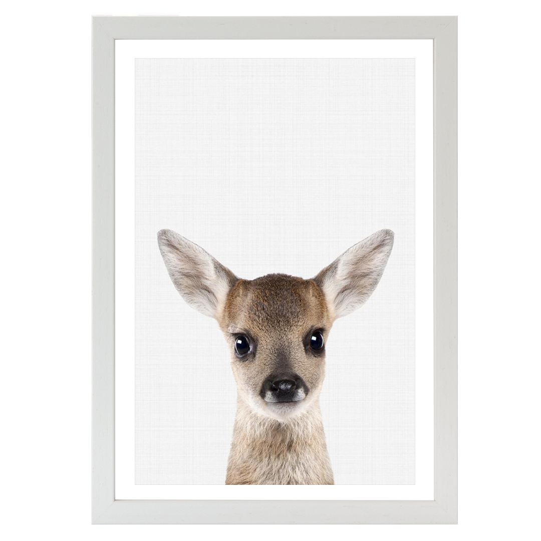 Fawn Portrait Print