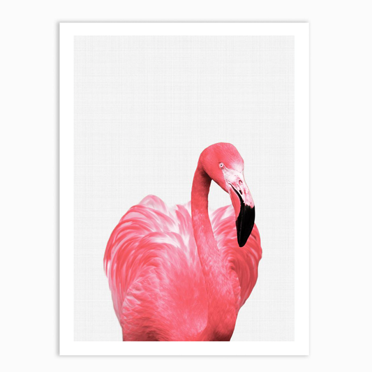 Flamingo Portrait Print