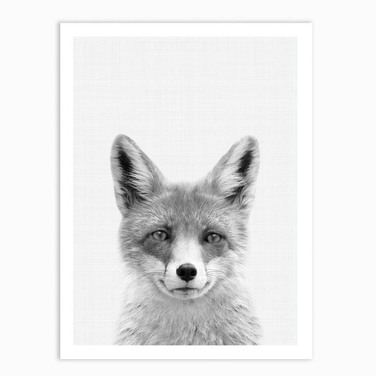 Fox B&W