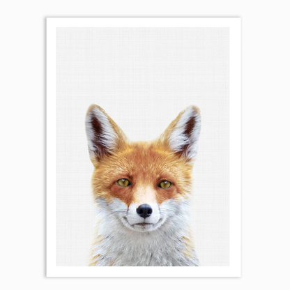 Fox