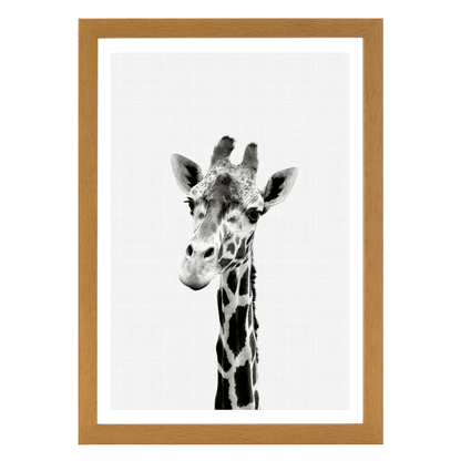 Giraffe B&W