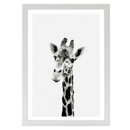 Giraffe B&W