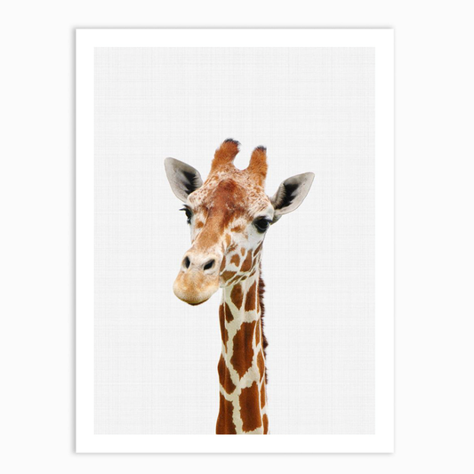 Giraffe Portrait Print