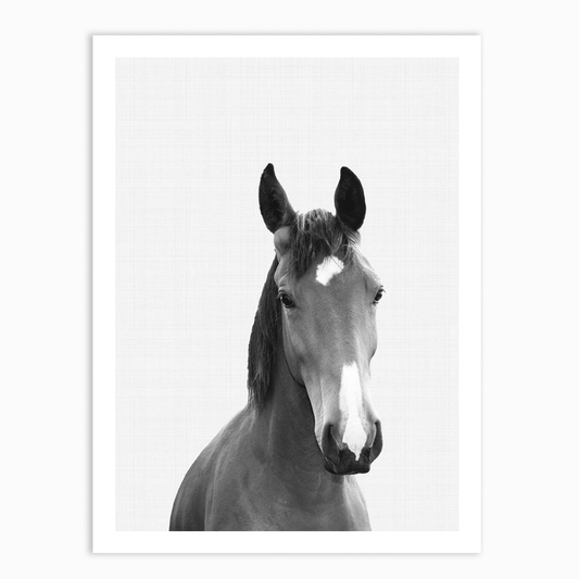 Horse Portrait Print