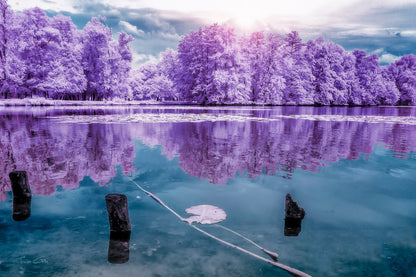 Majolan’s Park Reflections I, Bordeaux - Infrared and UV photography