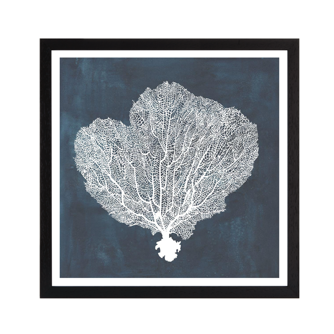 Inverse Sea Fan I