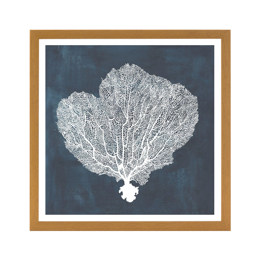 Inverse Sea Fan I