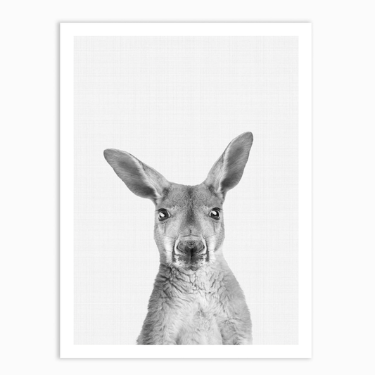 Kangaroo B&W Portrait