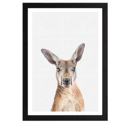 Kangaroo Portrait