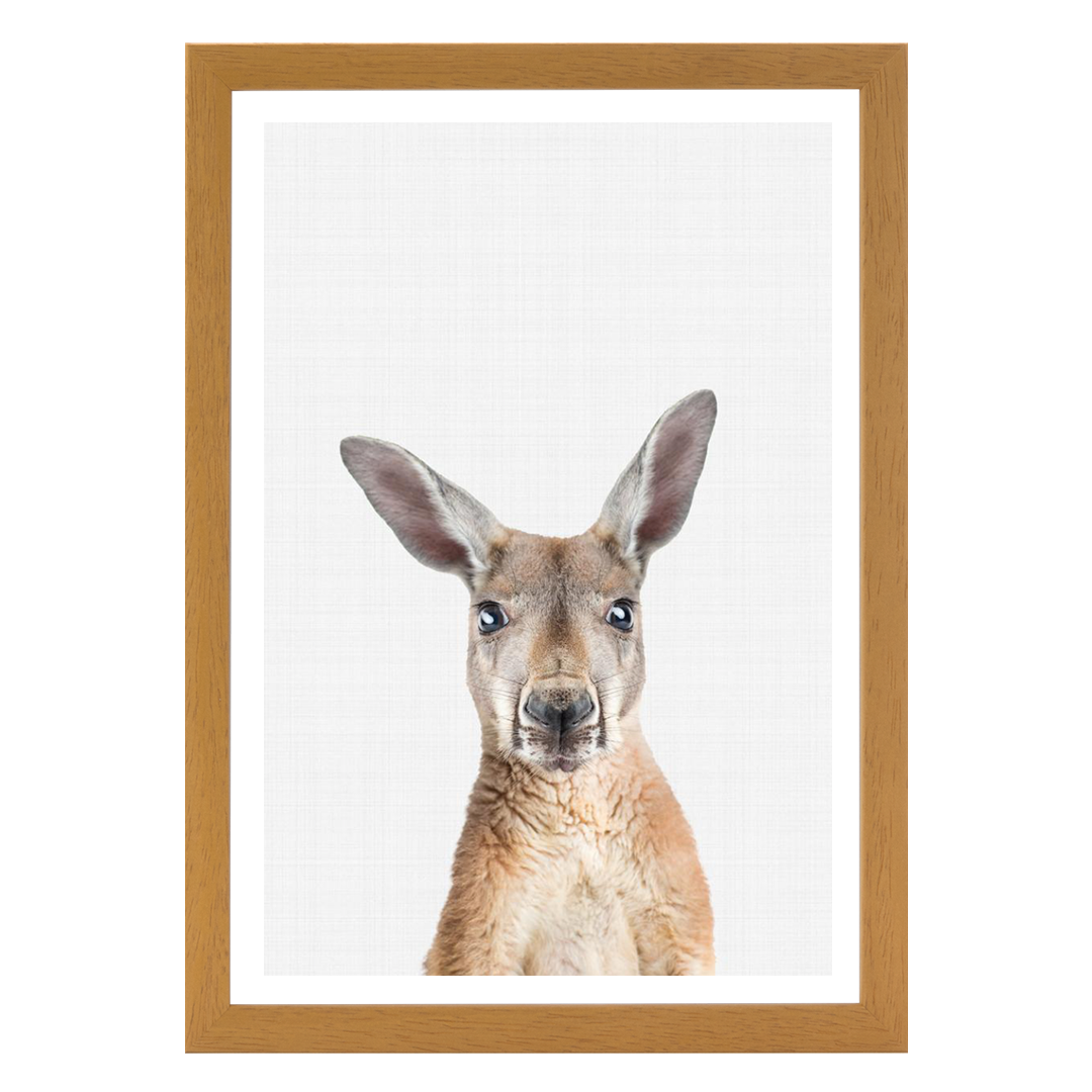 Kangaroo Portrait