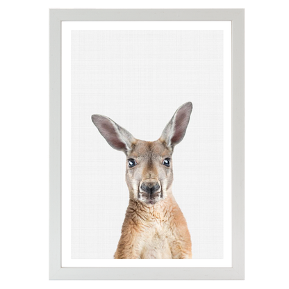 Kangaroo Portrait